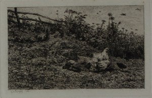 Image description is not available for DU2006.2.9